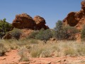 0917-1436 NT Kings Canyon (9172142)